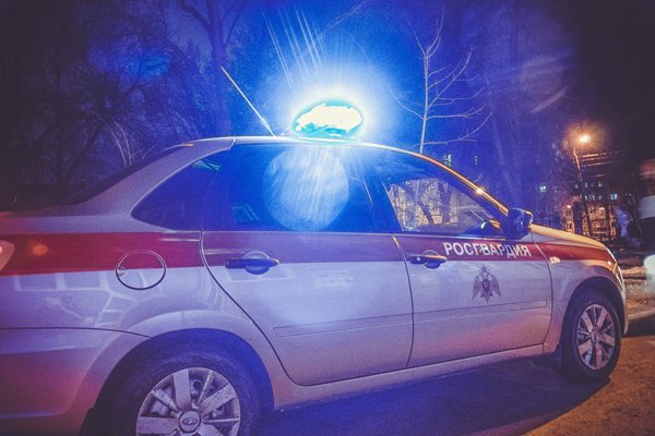 Росгвардейцы задержали в Пензе хулигана, ударившего прохожего на улице