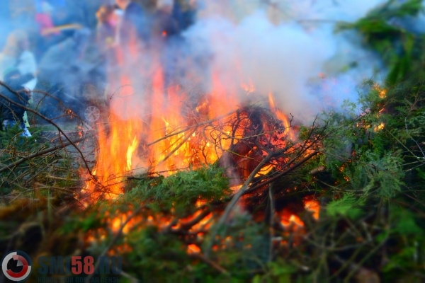 В Пензенской области сгорели почти 300 га леса