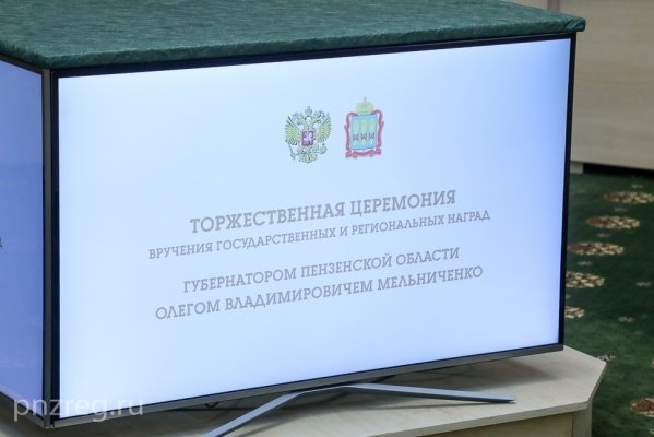 В пензенском правительстве вручили награды в канун Дня защитника Отечества