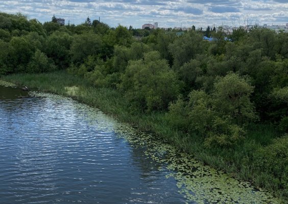В Пензе ввели режим повышенной опасности на период праздников