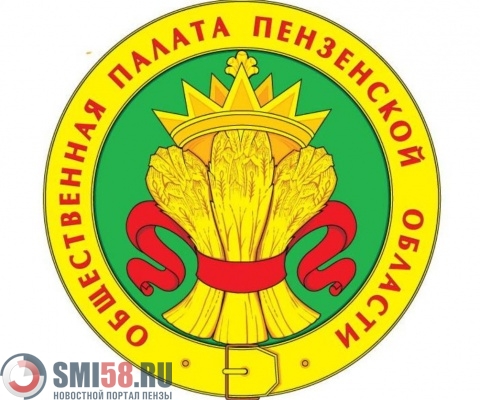 v-penzenskoy-oblasti-soberut-novuyu-obshchestvennuyu-palatu