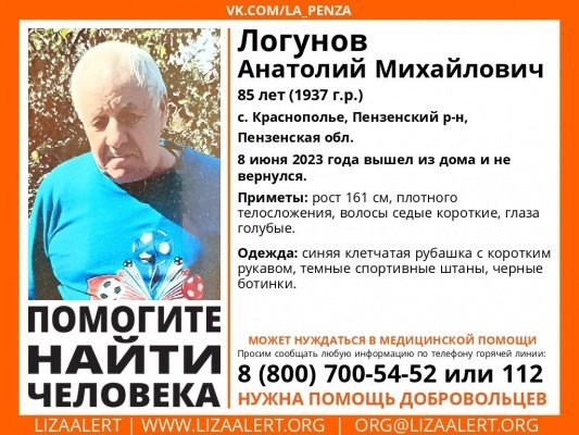 В Пензенском районе пропал 85-летний Анатолий Логунов