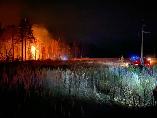 В Пензенской области за сутки выгорело почти 5 га леса