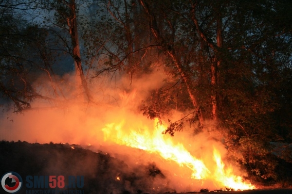 В Пензенской области площадь лесных пожаров превысила 33 гектара