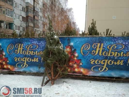 v-penze-na-ulitse-karpinskogo-prikryli-levyy-elochnyy-bazar