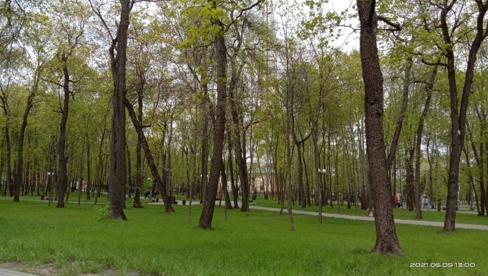 В Пензенской области в рабочую субботу сохранится ветреная погода