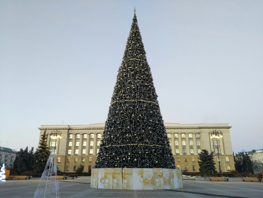 v-penze-glavnuyu-elku-na-ploshchadi-lenina-nachnut-ustanavlivat-uzhe-v-seredine-noyabrya