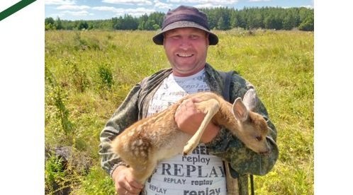 В Вадинском районе спасли олененка