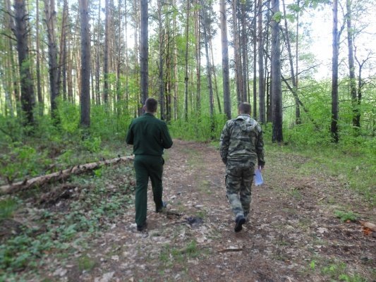 В майские праздники пензенцы пять раз нарушили правила пожарной безопасности в лесах