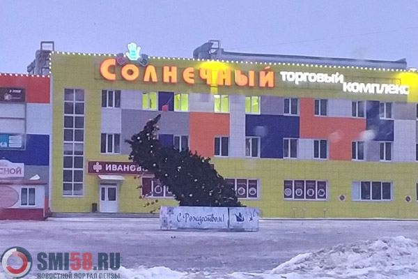 iz-za-vetra-v-penzenskoy-oblasti-popadali-elki