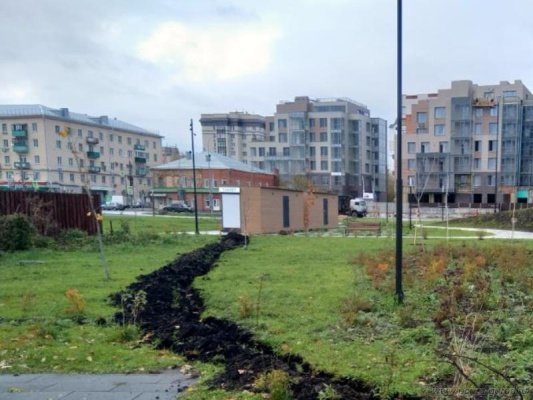Около туалетов на набережной Суры в Пензе организуют видеонаблюдение