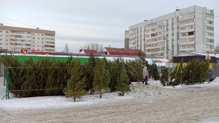 В Пензе откроются 78 елочных базаров
