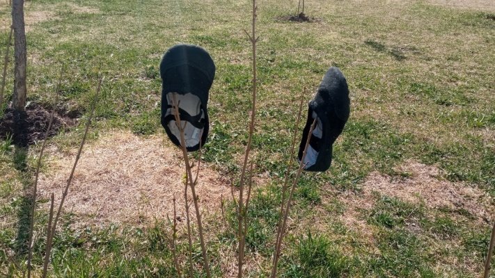 В четверг в Пензенской области прекратятся дожди и потеплеет