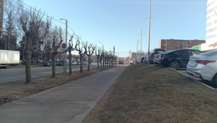 В среду в Пензенской области ветер поднимется до 15-20 метров в секунду