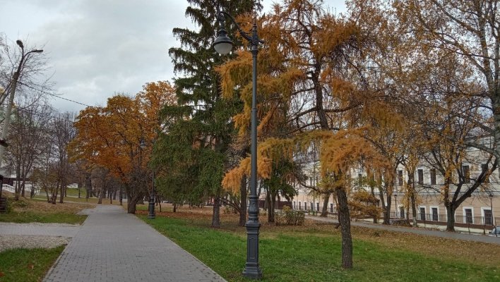 В субботу в Пензенской области будет сухо и туманно