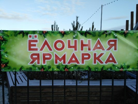 На 16 елочных базарах в Пензе можно будет приобрести дерево по скидке