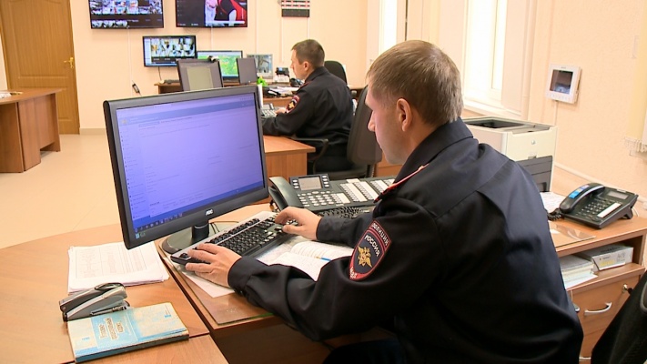 Пензенец хотел отвезти кошку на вязку — лишился 35 тысяч рублей