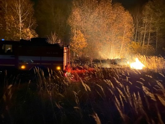В Пензенской области выгорело еще почти 4 га леса