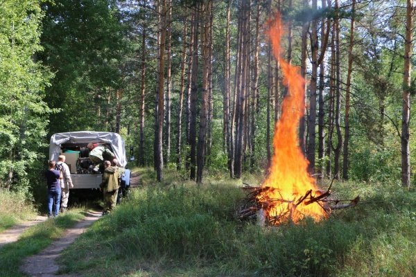 В Пензенской области за выходные поймали трех нарушителей безопасности в лесах