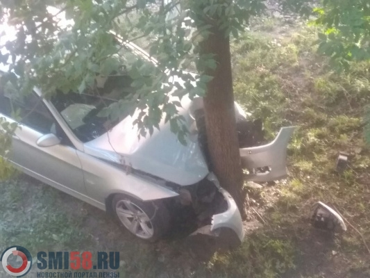 Соцсети: пьяная девушка врезалась в дерево на улице Луначарского в Пензе