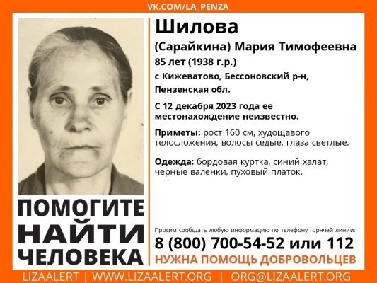В Бессоновском районе пропала 85-летняя Мария Шилова (Сарайкина)