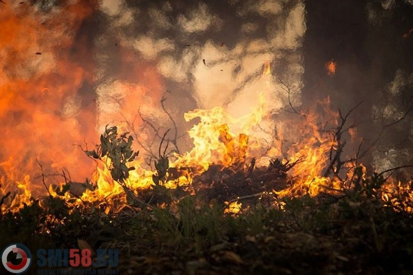 Этой осенью в Пензенской области пожаров стало в 3 раза больше