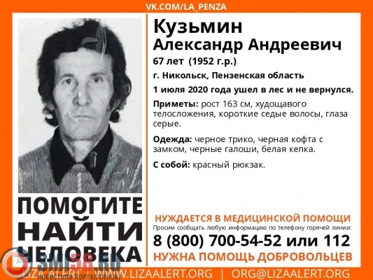 В Никольске ищут 67-летнего Александра Кузьмина