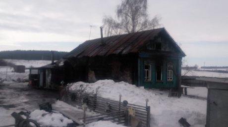 pozhar-na-lesnoy-v-penzenskoy-oblasti-unes-zhizni-dvukh-chelovek