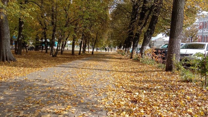 В Пензенской области вопреки похолоданию повышается уровень пожарной опасности