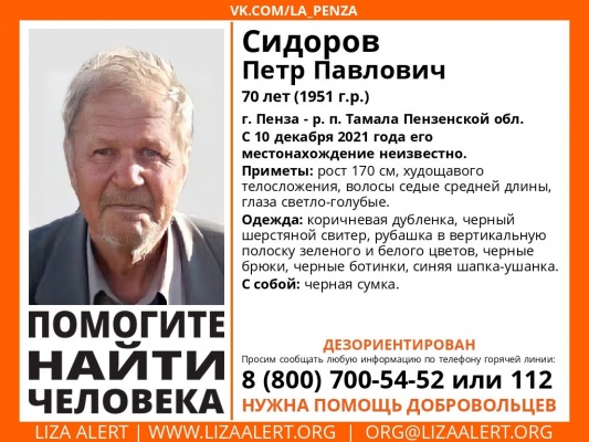 Между Пензой и Тамалой пропал 70-летний Петр Сидоров