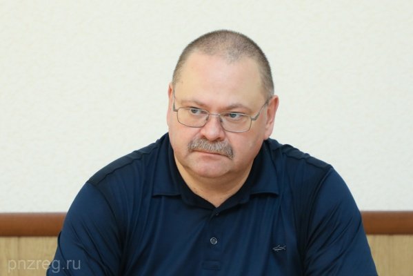 Пензенский губернатор выразил соболезнования жителям ДНР