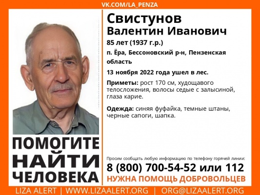 В Бессоновском районе пропал 85-летний Валентин Свистунов