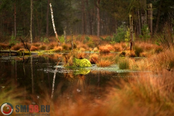 zhiteli-olkhovoy-ulitsy-v-penze-iz-za-otsutstviya-vody-berut-ee-v-bolote