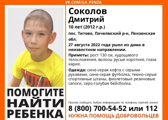 В Пачелмском районе пропал 10-летний Дима Соколов
