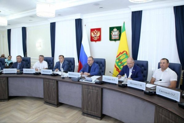 Финансирование «пилота» по повышению рождаемости в Земетчино и Сердобске удвоено