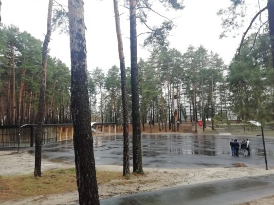 Стало известно, где поставят новогоднюю елку в Заречном