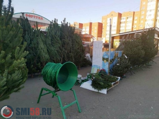 pervyy-elochnyy-bazar-otkrylsya-v-penze