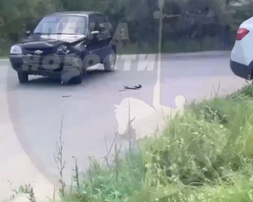 В пензенском Заречном произошла авария с такси