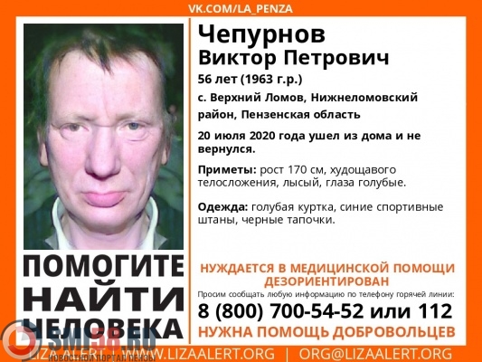 В Нижнеломовском районе пропал 56-летний Виктор Чепурнов