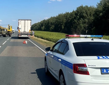 На трассе под Пензой инспекторы ДПС помогли фуре с лопнувшим колесом
