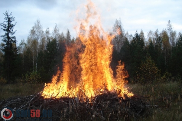 В Пензенской области за сутки четыре раза горел лес