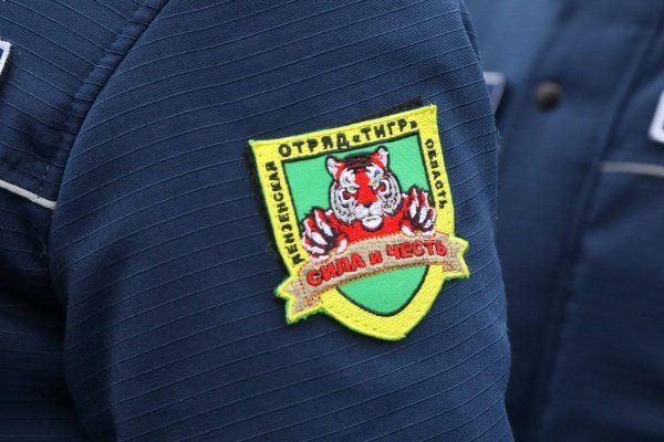 В Пензенской области отряд «Тигр» пресек 14 преступлений