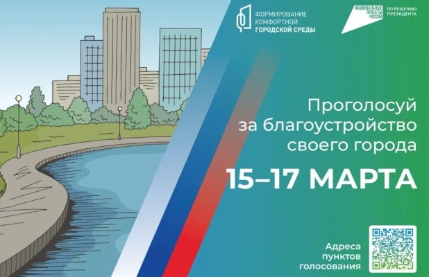 Пензенцы смогут одновременно проголосовать за президента и благоустройство территории