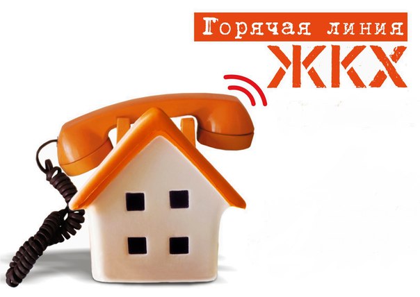 nedovolnye-upravlyaykami-penzentsy-mogut-pozhalovatsya-po-goryachey-linii