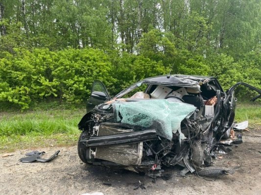 Появились подробности смертельного ДТП под Пензой