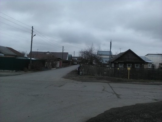 Пензенское село закрыли на карантин по бешенству