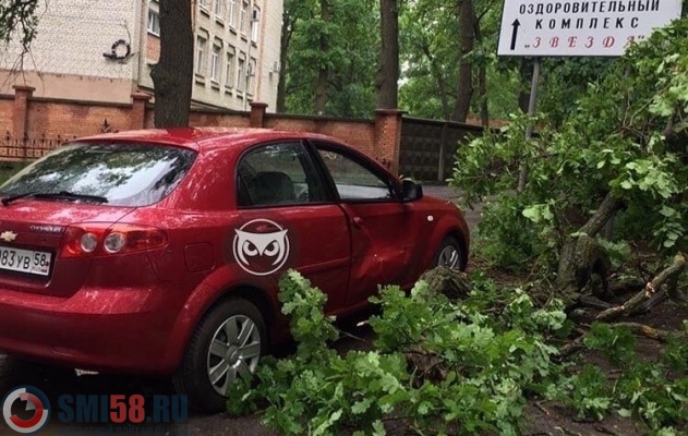 Возле областной больницы на машину рухнуло дерево