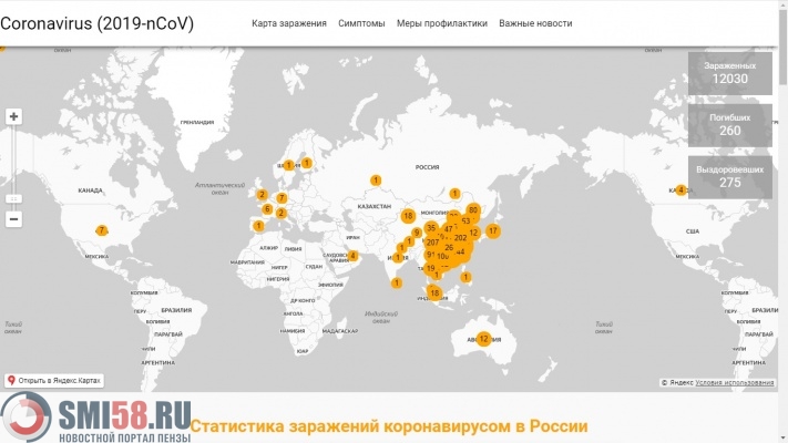 В России запустили портал, показывающий распространение нового коронавируса
