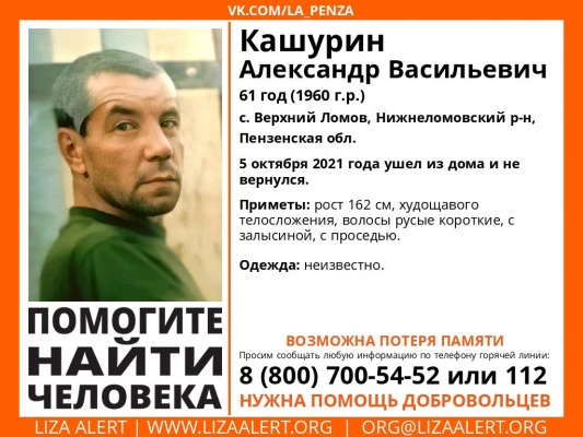 Пропавшего под Пензой пенсионера объявили в розыск