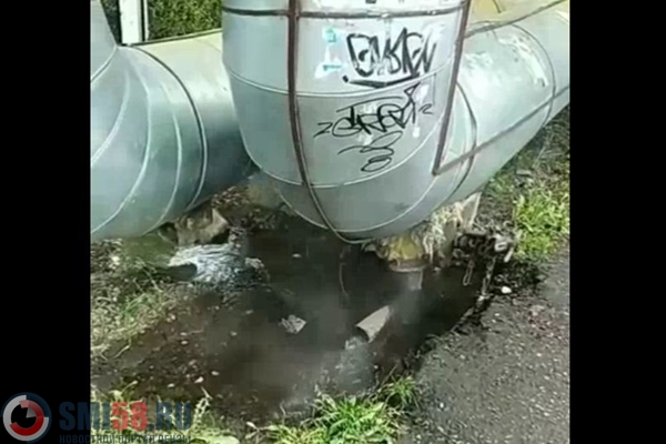 У гимназии №13 в Пензе из порванной трубы хлещет горячая вода